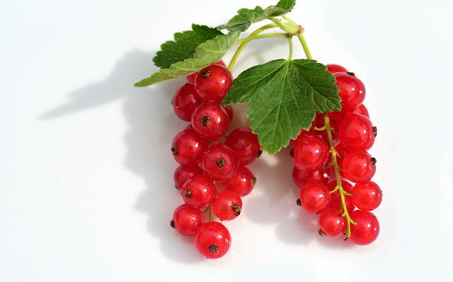 currants-g21f15e00a_640