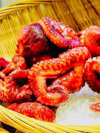 Poulpe Octopus Polpo