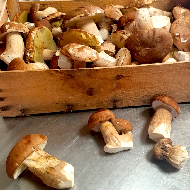 Cèpes frais de la vallée du Var chez le chef Didier Meyer au restaurant chez Paul à Touët sur Var